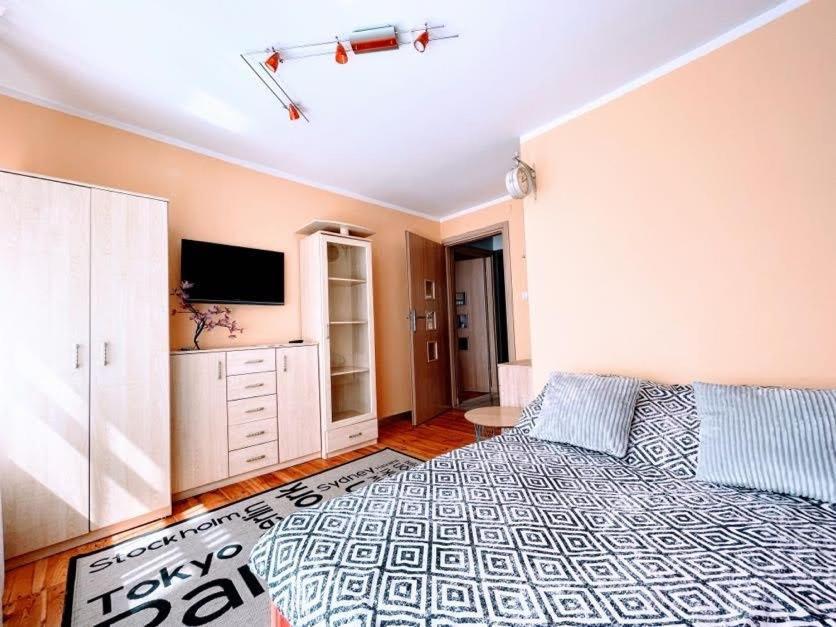 Apartment Apartament Carolina Torun